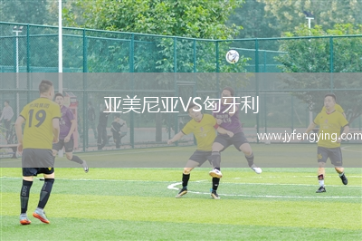 亞美尼亞VS匈牙利